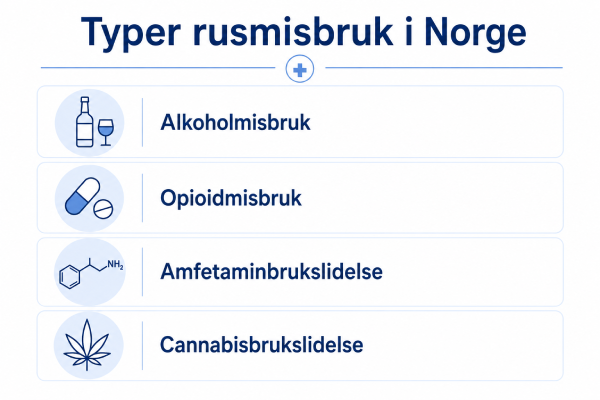 Typer rusmisbruk i Norge