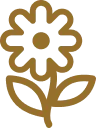 Medisinering (psykiaterens rolle)