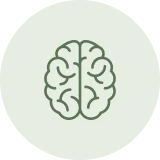 Hjernekjemi Icon