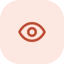 Eye / View Icon