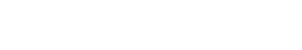Insurance Provider