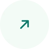 External Link Icon
